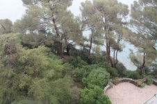 Enlarge photo 90