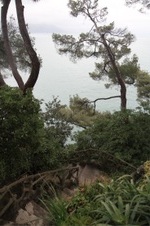 Enlarge photo 92