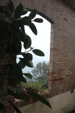 Enlarge photo 62