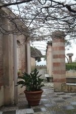 Enlarge photo 63