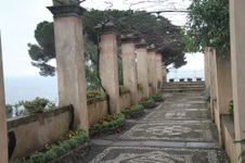 Enlarge photo 67