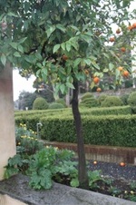 Enlarge photo 68