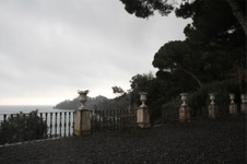Enlarge photo 73