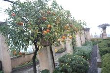 Enlarge photo 78