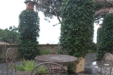 Enlarge photo 97