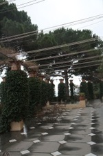 Enlarge photo 98