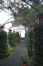 Enlarge photo 104