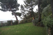 Enlarge photo 105