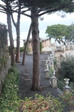 Enlarge photo 106