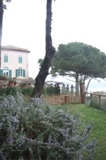 Enlarge photo 107