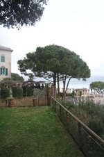 Enlarge photo 108