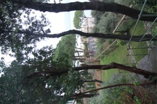 Enlarge photo 109