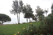 Enlarge photo 111