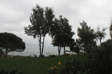 Enlarge photo 112