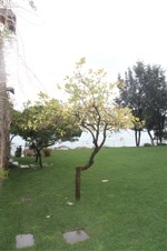 Enlarge photo 115