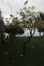 Enlarge photo 116