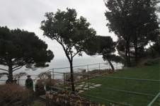 Enlarge photo 117