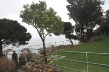 Enlarge photo 118