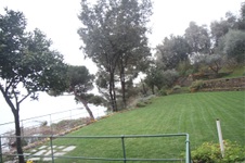 Enlarge photo 119