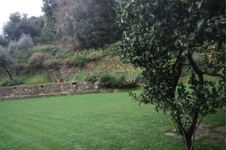 Enlarge photo 120