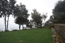 Enlarge photo 121