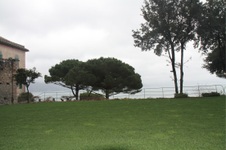 Enlarge photo 124