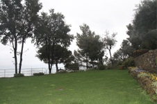 Enlarge photo 125