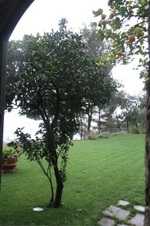 Enlarge photo 127