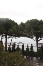 Enlarge photo 128