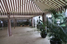 Enlarge photo 130