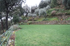 Enlarge photo 135