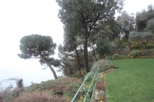 Enlarge photo 136