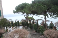 Enlarge photo 137