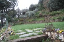 Enlarge photo 138