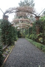 Enlarge photo 142
