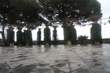 Enlarge photo 143