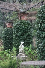 Enlarge photo 146