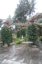 Enlarge photo 147