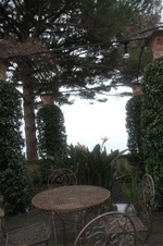 Enlarge photo 148