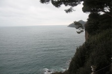 Enlarge photo 149