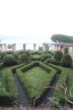 Enlarge photo 153