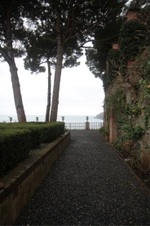 Enlarge photo 161