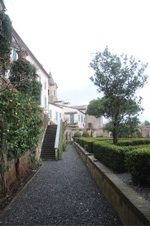 Enlarge photo 163