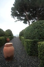 Enlarge photo 172