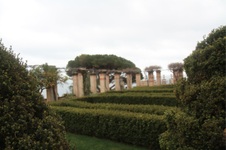 Enlarge photo 173