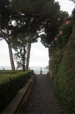 Enlarge photo 175