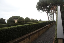 Enlarge photo 177