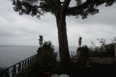 Enlarge photo 199