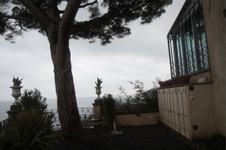 Enlarge photo 200