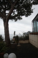 Enlarge photo 202